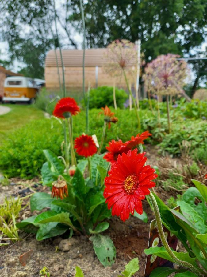 Vakantiewoning Victors Hof Tot 4 Pers Lievegem Exterior foto
